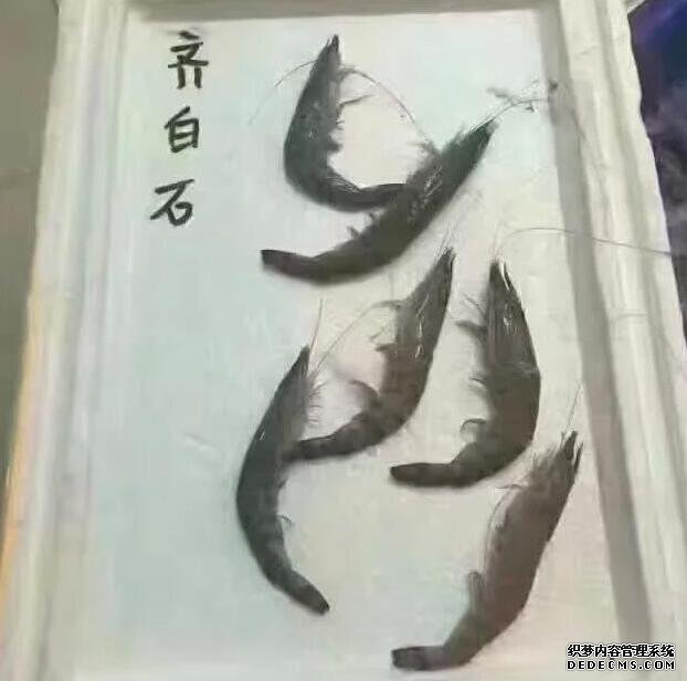 ÿһ̣